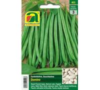 AUSTROSAAT Haricot Nain "Domino" - 1 sachet