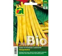 AUSTROSAAT Haricots à Rames Bio "Neckargold" - 1 sachet