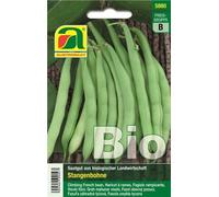 AUSTROSAAT Haricots à Rames Bio "Neckarkönigin" - 1 sachet