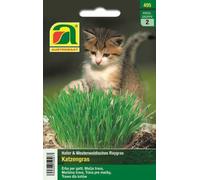 AUSTROSAAT Herbe à Chat - 1 sachet
