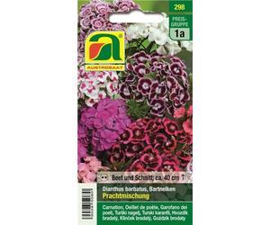 AUSTROSAAT Œillet de Poète "Prachtmischung" - 1 sachet