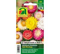 AUSTROSAAT Immortelle "Mélange Haut" - 1 sachet