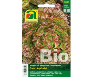 AUSTROSAAT Laitue Pommée Bio "Merveille des Quatre Saisons" - 1 sachet