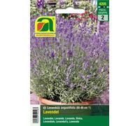 AUSTROSAAT Lavande "Echter Lavendel" - 1 sachet