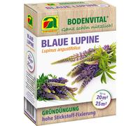 AUSTROSAAT Lupin Bleu - Engrais Vert - 330 g