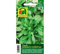 AUSTROSAAT Mâche "Holländischer Breitblättriger" - 1 sachet