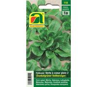 AUSTROSAAT Mâche "Verte à Coeur Plein 2" - 1 sachet