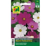 AUSTROSAAT Mélange de Cosmos "Mammouth" - 1 sachet