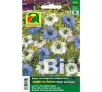 AUSTROSAAT Nigelle de Damas Bio "blau & weiss" - 1 sachet