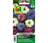 AUSTROSAAT Nigelle de Damas - Mélange - 1 sachet