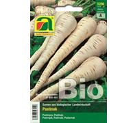 AUSTROSAAT Panais Bio "Tender and True" - 1 sachet