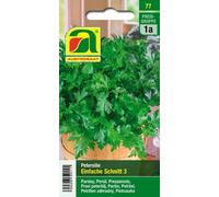 AUSTROSAAT Persil "Einfache Schnitt 3" - 1 sachet
