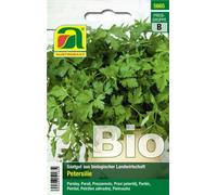 AUSTROSAAT Persil "Gigante d'Italia" Bio - 1 sachet