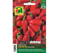AUSTROSAAT Piment "Chili-AS" - 1 sachet