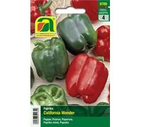 AUSTROSAAT Poivron "California Wonder" - 1 sachet