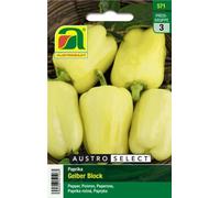 AUSTROSAAT Poivron "Gelber Block" - 1 sachet