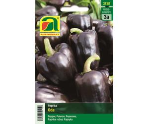 AUSTROSAAT Poivron Violet "Oda" - 1 sachet