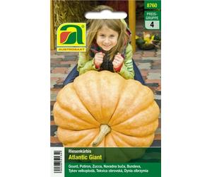 AUSTROSAAT Potiron Géant "Atlantic Giant" - 1 sachet