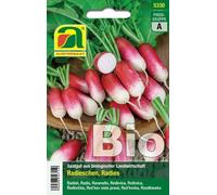 AUSTROSAAT Radis Bio "Flamboyant 3" - 1 sachet