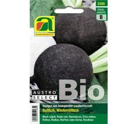 AUSTROSAAT Radis d'Hiver Bio "Wiener runder Kohlschwarzer" - 1 sachet