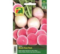 AUSTROSAAT Radis "Misato Rose Flesh" - 1 sachet