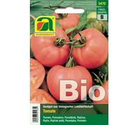AUSTROSAAT Tomate Bio "Berner Rose" - 1 sachet