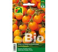 AUSTROSAAT Tomate Bio "Clementine" - 1 sachet