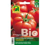 AUSTROSAAT Tomate Bio "Marmande" - 1 sachet