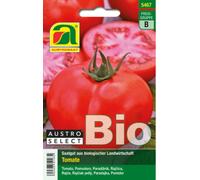 AUSTROSAAT Tomate Bio "Zieglers Fleisch" - 1 sachet