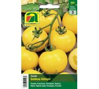 AUSTROSAAT Tomate "Goldene Königin" - 1 sachet