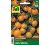 AUSTROSAAT Tomate "Goldkrone" - 1 sachet