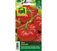 AUSTROSAAT Tomate "Marmande" - 1 sachet