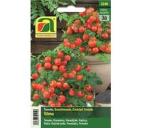 AUSTROSAAT Tomate "Vilma" - 1 sachet