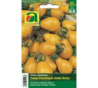 AUSTROSAAT Tomate "Yellow Pearshaped" - 1 sachet