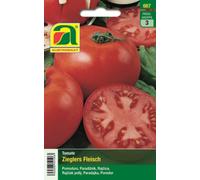 AUSTROSAAT Tomate "Zieglers Fleisch" - 1 sachet