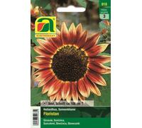 AUSTROSAAT Tournesol "Floristan" - 1 sachet