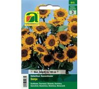 AUSTROSAAT Tournesol "Sonja Mischung" - 1 sachet