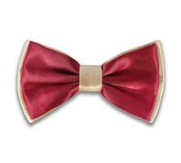 AUSUAYA BT-BYB2 Nœud papillon classique pour homme Costume et chemise - Nœud papillon pour garçon, rouge avec or champagne, taille unique