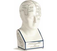 Authentic Models Tête Phrénologique en Porcelaine Blanche - Sculpture - Art Déco - Maison - Pendaison de Crémaillère, Anniversaire