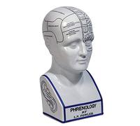 Authentic Models Tête Phrénologique en Porcelaine Blanche - Sculpture - Art Déco - Maison - Pendaison de Crémaillère, Anniversaire