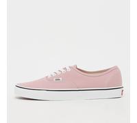 Authentic rose 42