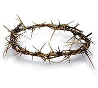 Authentique Couronne d'épines biblique Grandeur Nature 20,3 cm avec Certificat