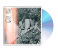 Author & Punisher - Author & Punisher-Nocturnal Birding