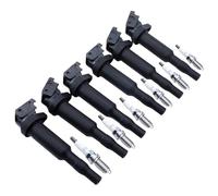 Auto Bobine Allumage Compatible Avec BMW Pour 325i 328i 330i 525i 530i E81 F22 F23 E46 E90 F33 X3 E83 X5 6 Pièces Ensemble Bobine D'allumage Pour Bougie D'allumage 0221504470 12137594937