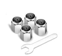 Auto Bouchons de Valve de Pneu pour Peugeot RCZ 2010-2013, Capuchon de Valve Auto Casquettes Anti Poussière de Voiture Métal Couvre-Valve Accessoire de Pneu,Silver-C