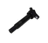Auto d'Allumage Bobine Compatible Avec Hyundai Pour Accent III Pour Mc 1.4 GL 1.6 Pour GLS 2005 2006 2007 2008 2009 2010 Bobines D'allumage Pour Moteurs De Véhicules 49179