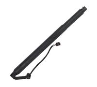 Auto Support Levage Hayon Électrique 81770-C5100 81770C5100 Pour Kia Pour Sorento 2016 2017 2018 2019 2020 Vérins À Gaz Hayon Électriques Côté Gauche Droit(1pcs LH)