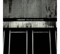 Autoclav1 1 - Where Once Were Exit Wounds