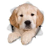 Autocollant 3d En Pvc De Haute Qualité Pour Réfrigérateur, Étiquette De Voiture À Gratter, Mignon, Chiot Golden Retriever, À La Mode, 13cm X 10cm 2 pièces