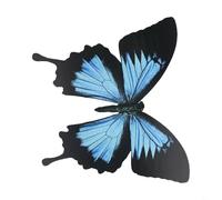 Autocollant 3D Papillon Décor pour Jardin Maison Intérieur PVC Autocollant Mural pour Fenêtres Meubles Intérieur Extérieur